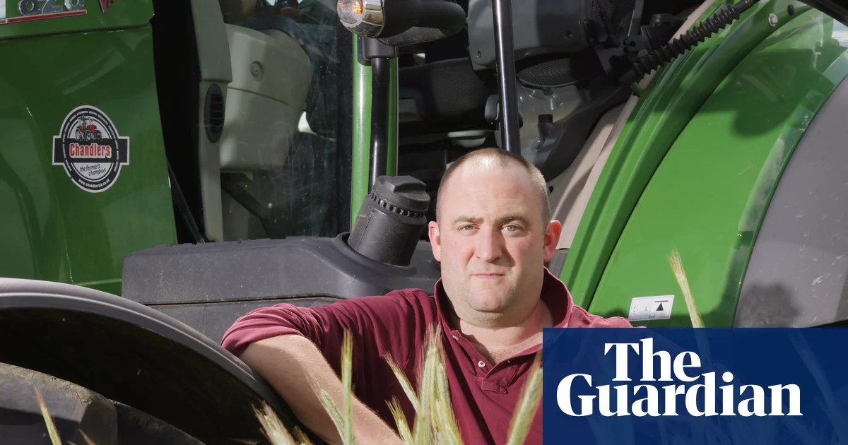 ‘Some aren’t going to make it’: how pressure on farmers threatens UK food security