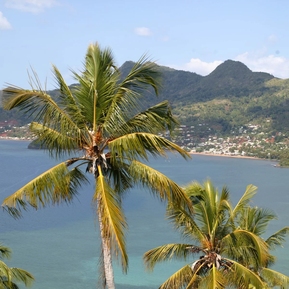 Revealed: African island fights offshore gambling network linked to UK family